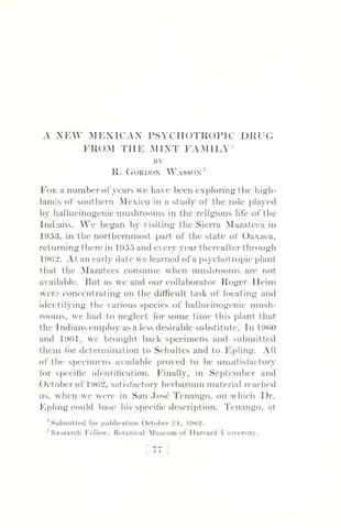 A New Mexican Psychotropic Drug from the Mint Family