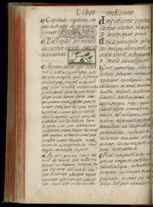 Ololiuhqui, Peyotl, and Teonanácatl in the Florentine Codex