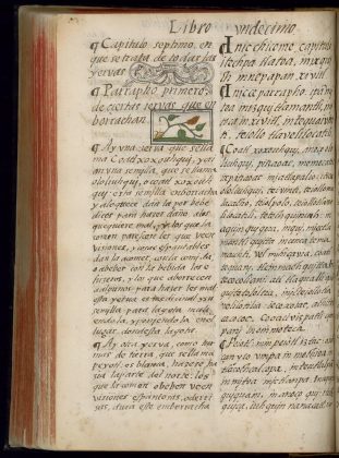 Ololiuhqui, Peyotl, and Teonanácatl in the Florentine Codex